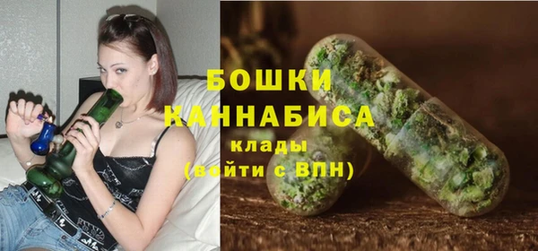 молекула духа Краснослободск
